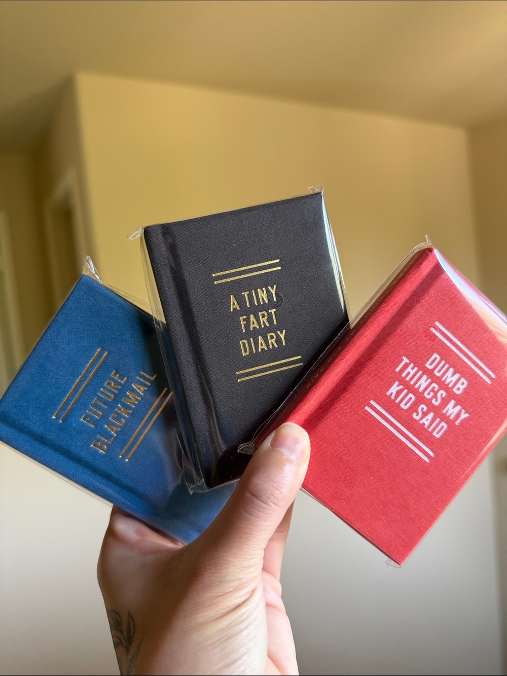 Tiny Diaries (set of 3)